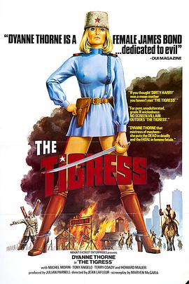 重庆什么是网站优化设计